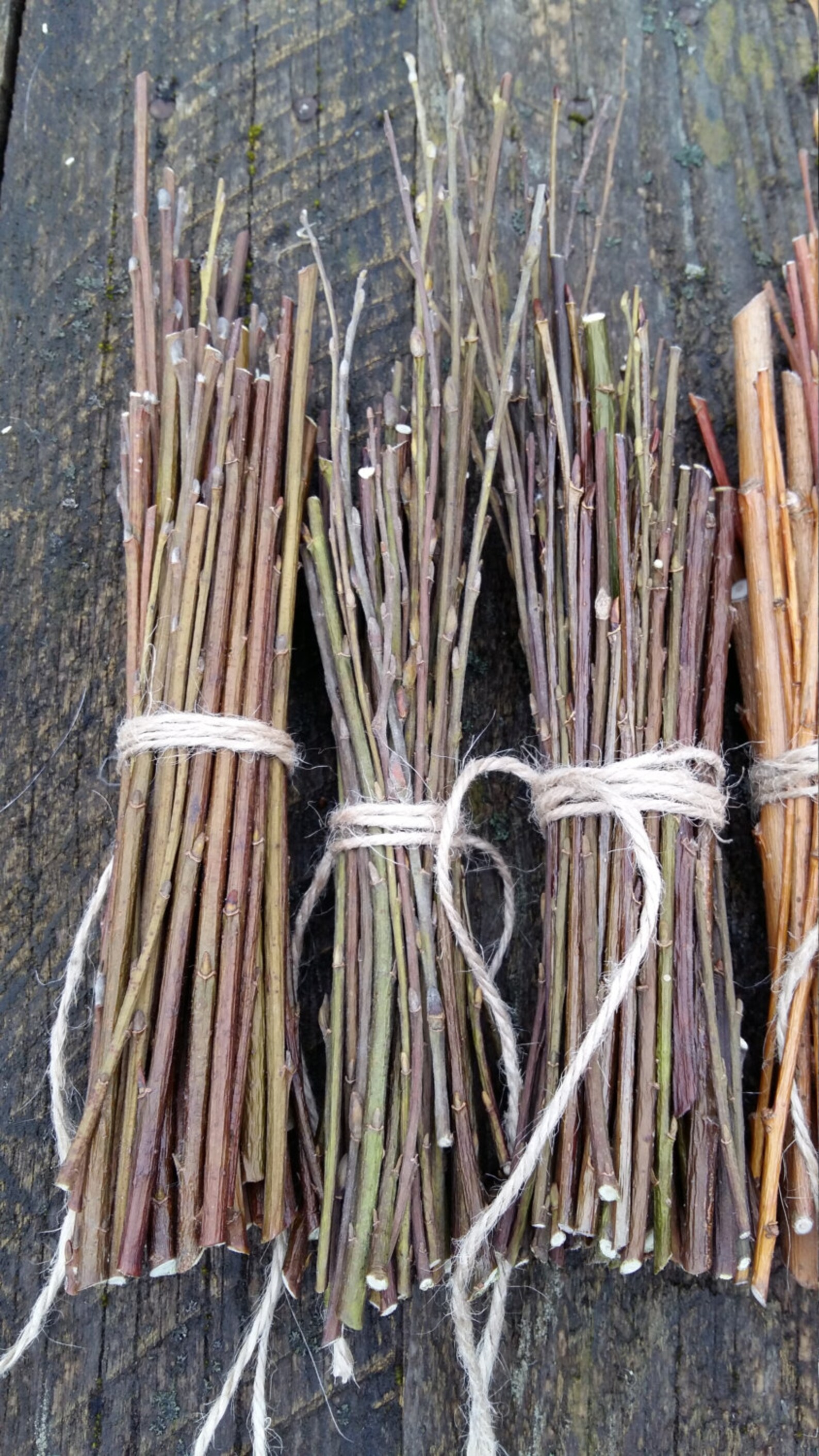 Sacred Tree Willow Branches Wood Sticks Bundle of Tree Twigs Etsy UK