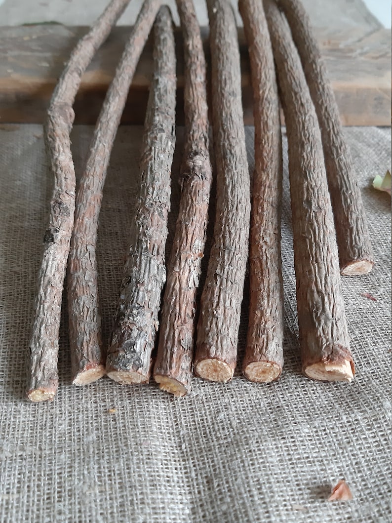 Pine Sticks Bundle Pine Tree Wood Sticks Wooden Twigs Natural Etsy