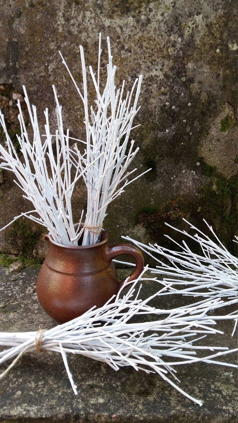 White twigs birch branches hand painted natural twigs vase Etsy