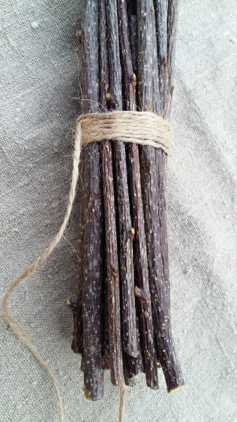 Bundle of Twigs Rustic Home Decor Botanical Tree Branches Etsy