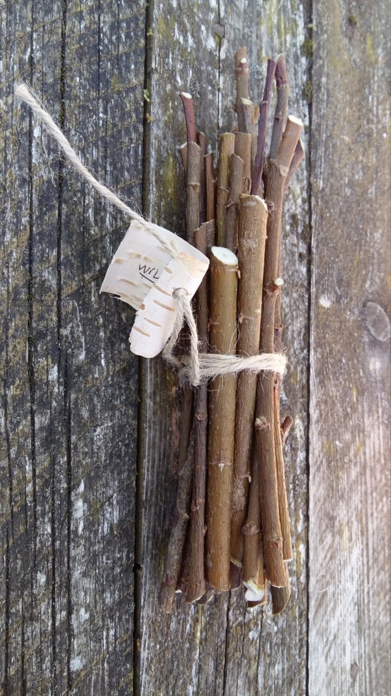 Willow Branches Wood Sticks Bundle of Tree Twigs Natural Wooden