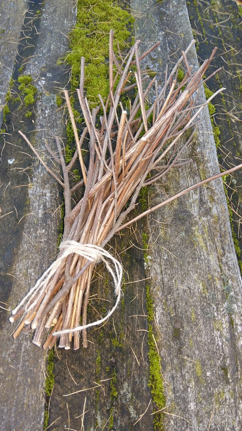 Natural Branches Decor Centerpiece Twigs for Display Vases Etsy