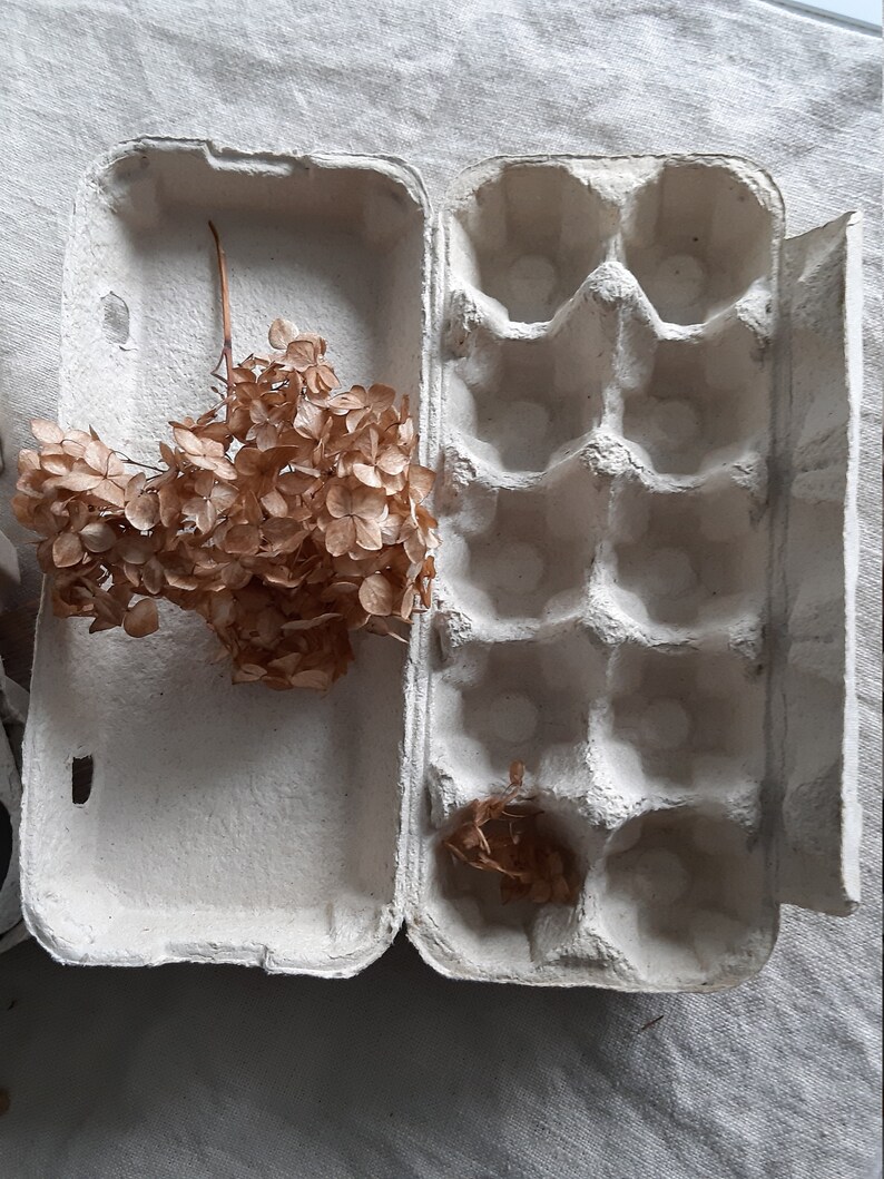 Egg Cartons Box Trays Empty Reused Recycled Paper Pulp Boxes Etsy