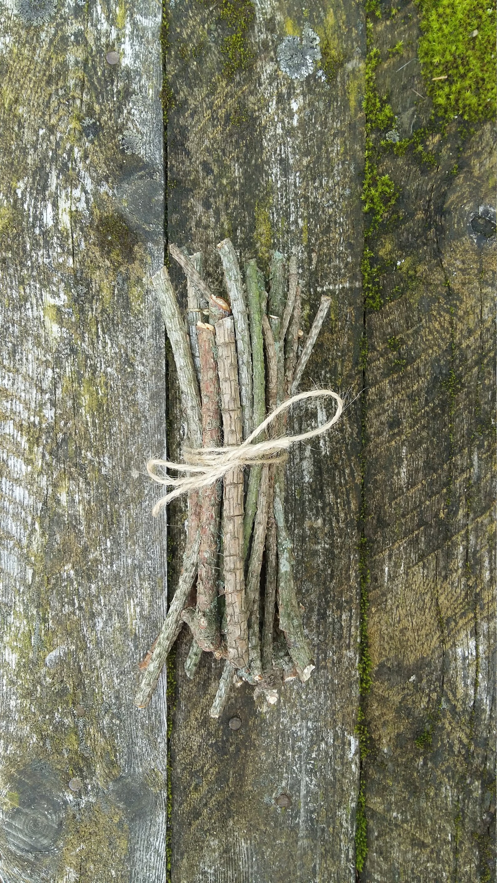 Natural pine tree sticks wooden twigs wood branches dried Etsy