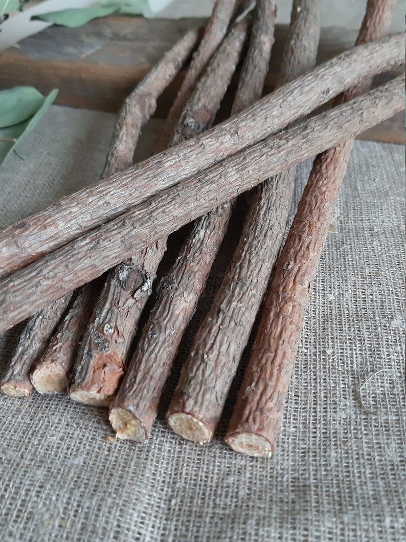 Pine Sticks Bundle Pine Tree Wood Sticks Wooden Twigs Natural Etsy