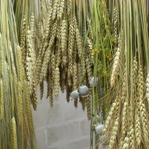 wheat bouquet rustic farm barn wedding bride bridesmaids maid of honor bouquet home decor dried ears of wheat grain ear natural decor eco image 5