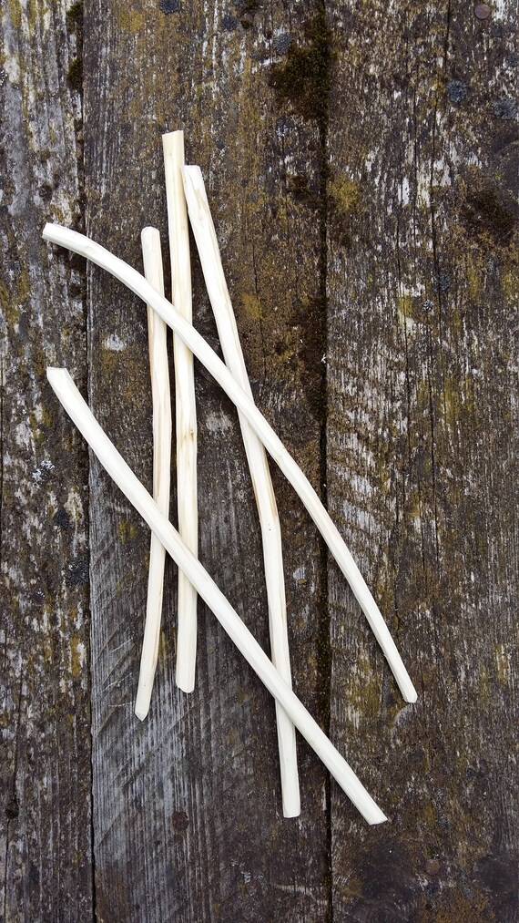 Peeled Craft Twigs Sticks Natural Wood Lilac Tree Branches Rustic