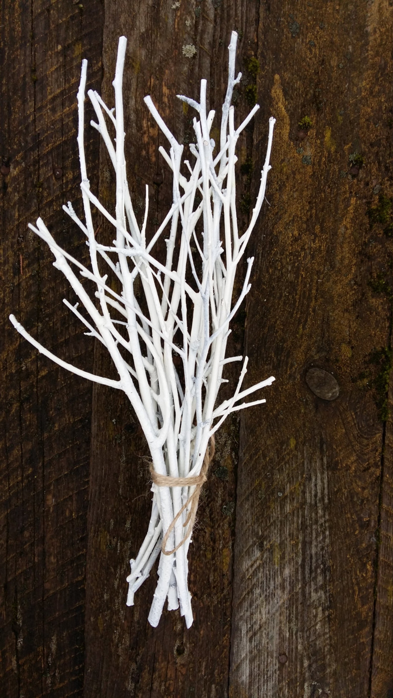 White Twigs Birch Branches Hand Painted Natural Twigs Vase Etsy