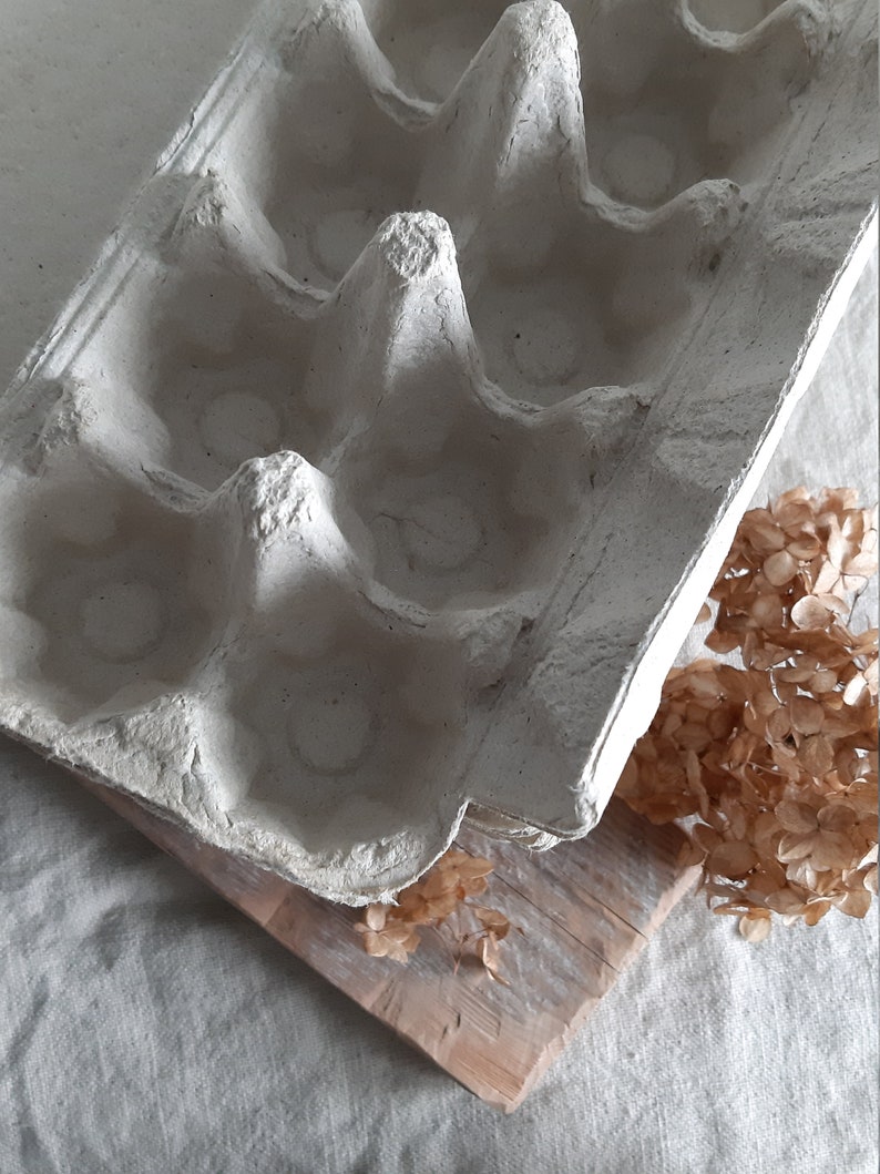 Egg Cartons Box Trays Empty Reused Recycled Paper Pulp Boxes Etsy
