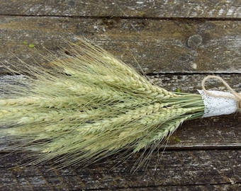 wheat bouquet bunch rustic bouquet dried ears of wheat ear grain ear natural home decor florist supplies natural dried rustic wedding decor