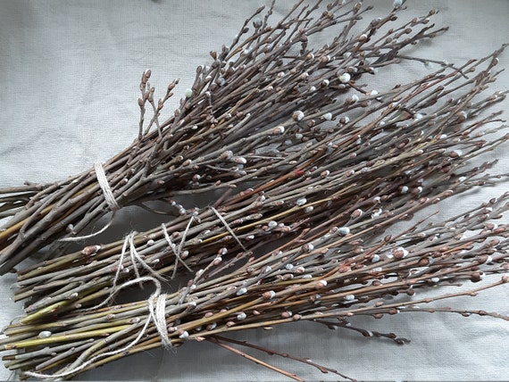 Easter Decorations Vase Filler Wild Pussy Willow Twigs Etsy