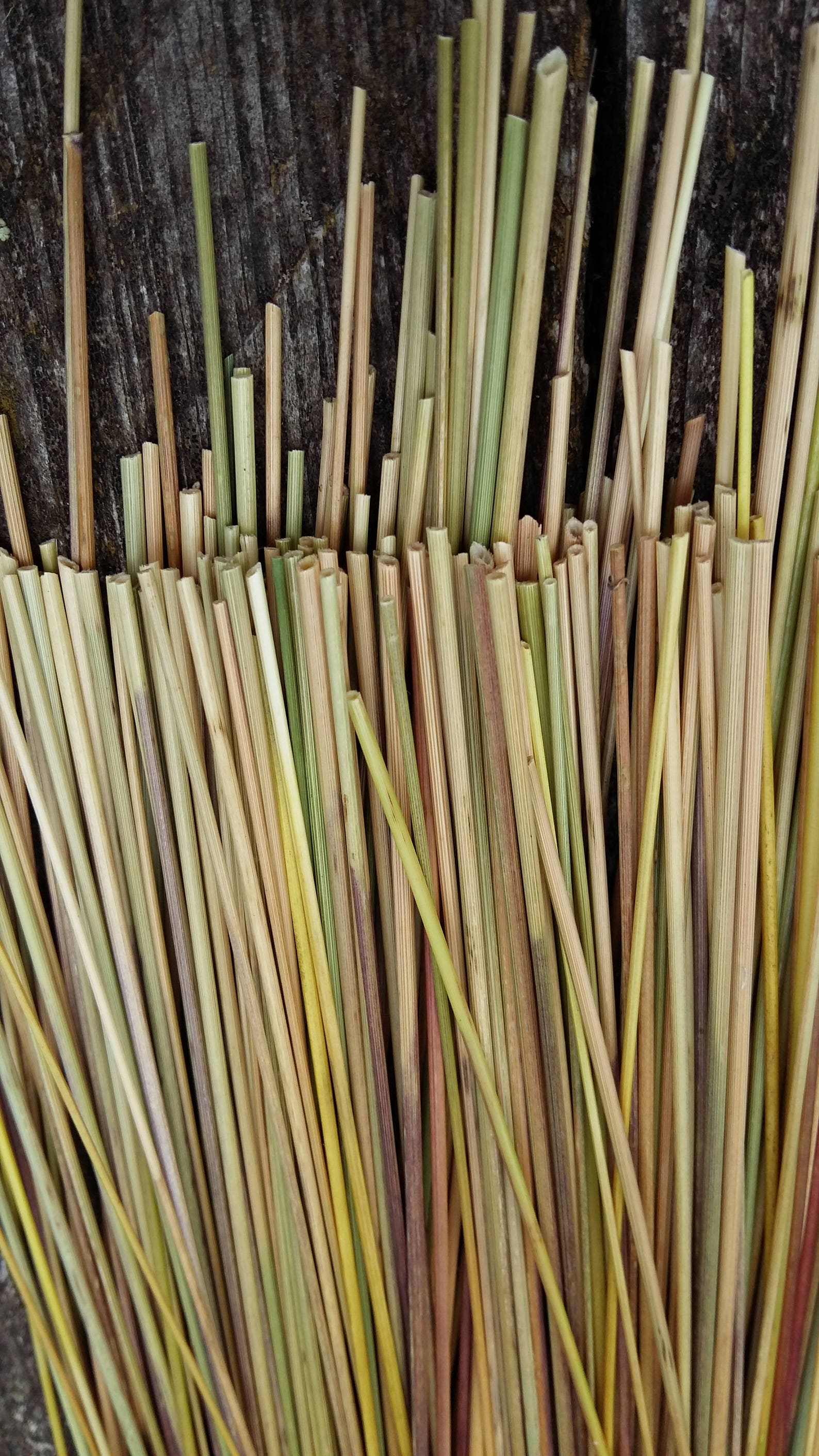 Real Straws Tiny Grasses Stems Straws for Crafts or Decors Etsy