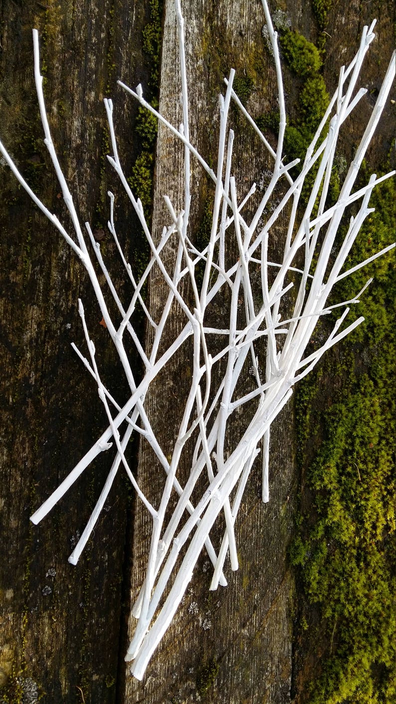 White Twigs Birch Branches Hand Painted Natural Twigs Vase Etsy UK