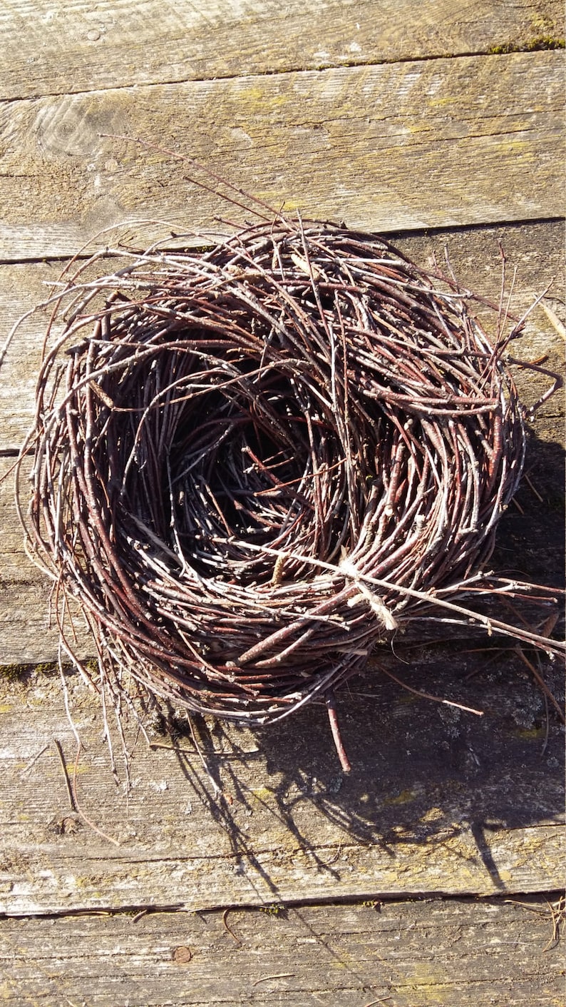 Birds Nest Natural Decor Birch Branches Twigs Rustic Home Etsy