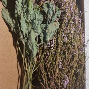 gedroogde heide calluna vulgaris bloemen en pepermunt natuurlijke gedroogde bloemen kruidengeneeskunde kruidenthee wilde bloemen primitief rustiek mix