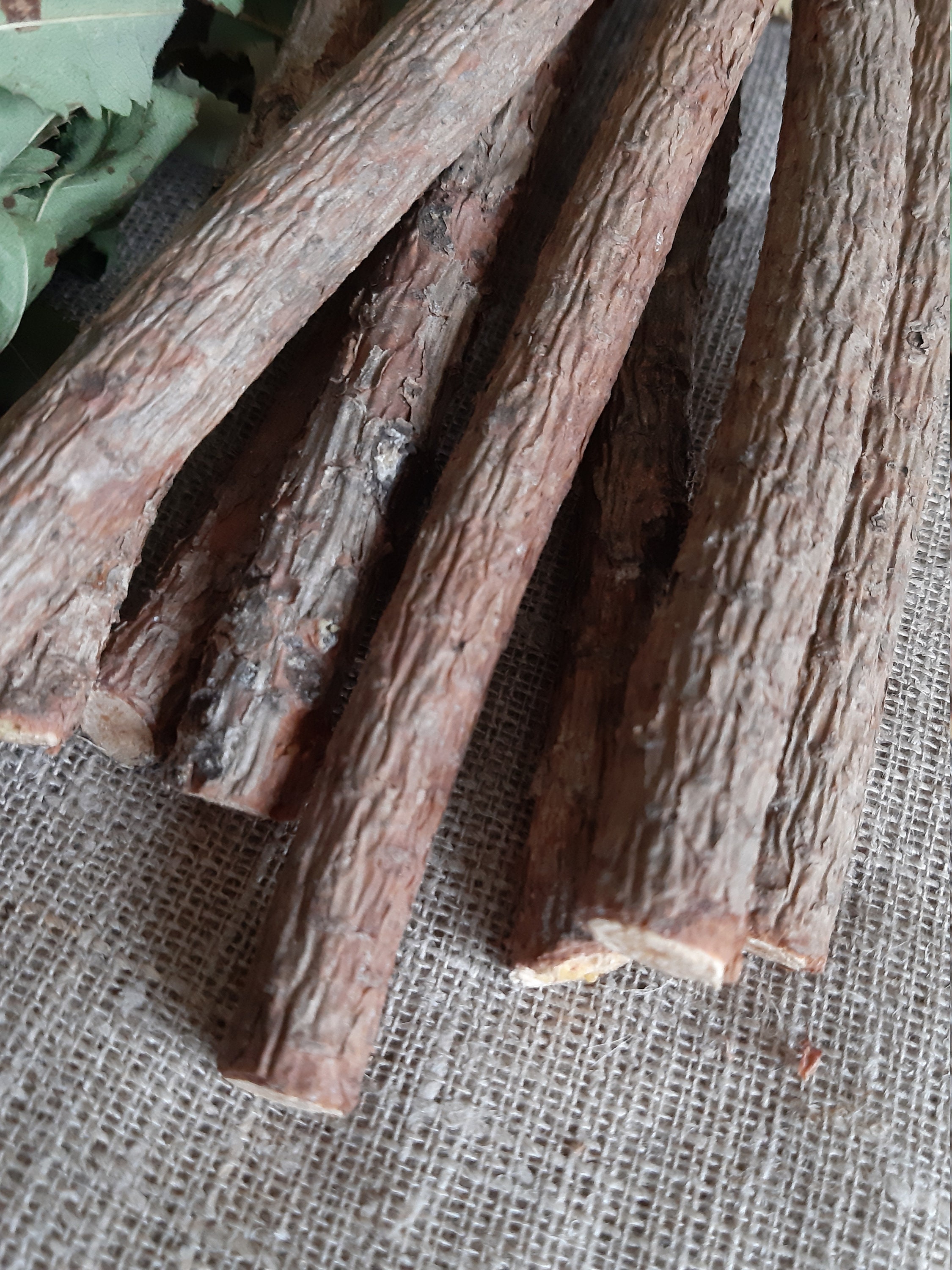 Pine Sticks Bundle Pine Tree Wood Sticks Wooden Twigs Natural Etsy UK