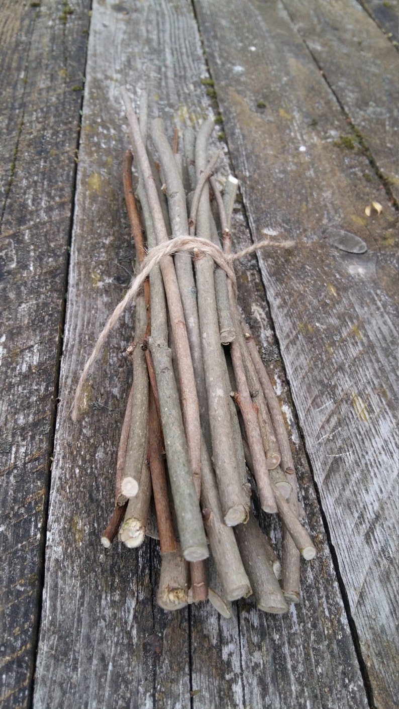Lilac Tree Wood Twigs Sticks Natural Wooden Branches Rustic Home Decor