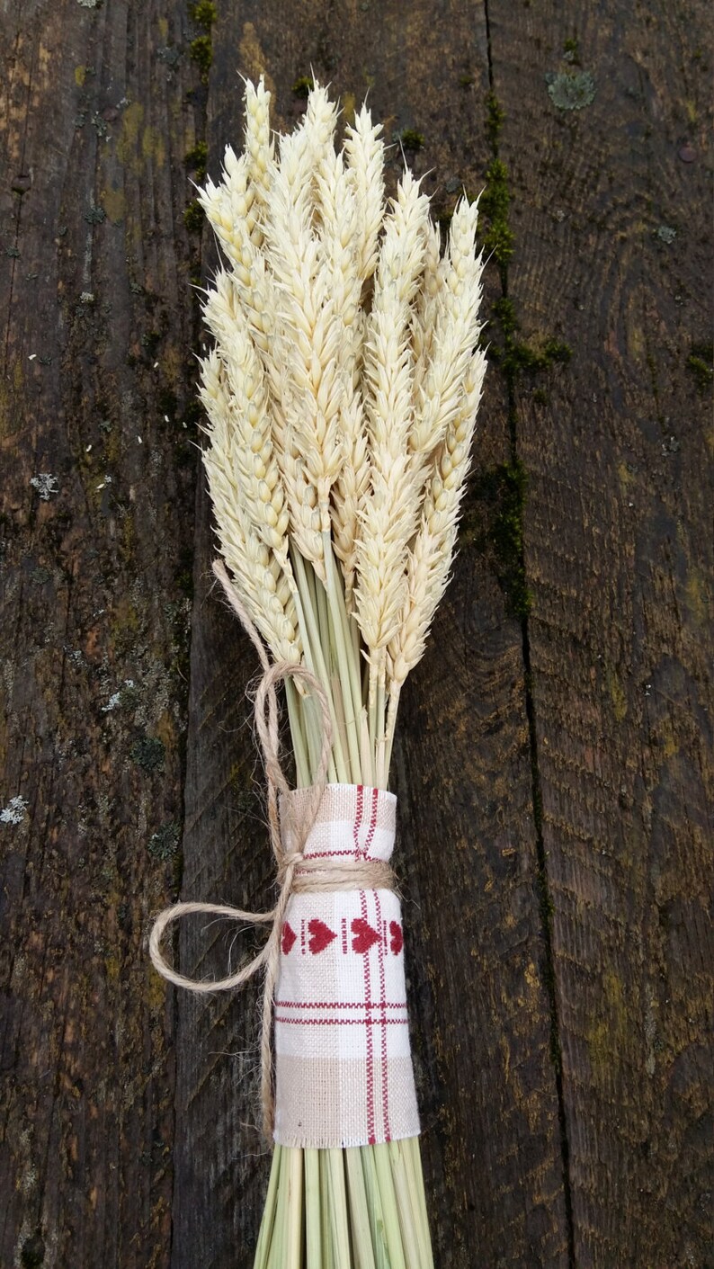 wheat bouquet rustic farm barn wedding bride bridesmaids maid of honor bouquet home decor dried ears of wheat grain ear natural decor eco image 2