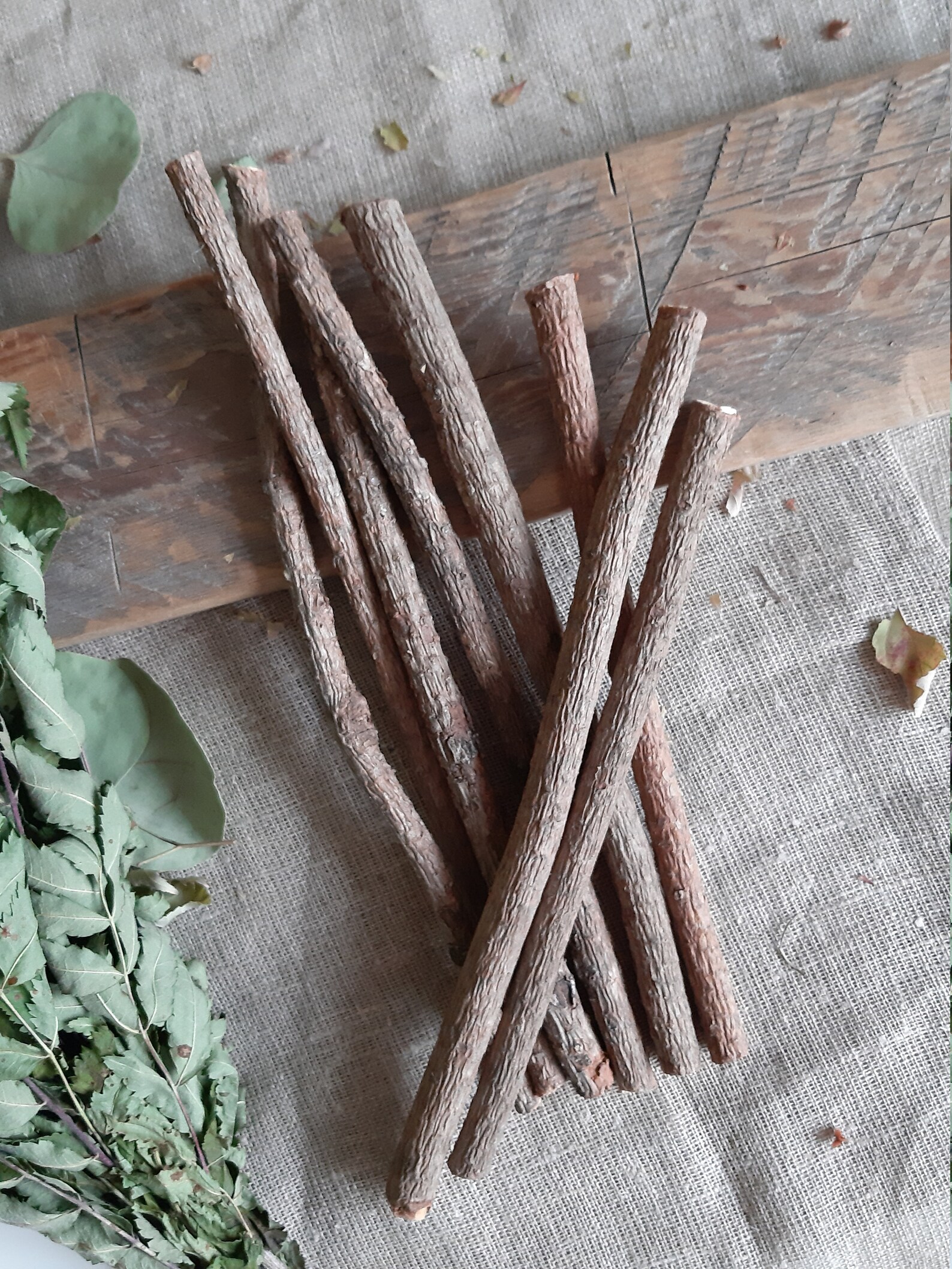 Pine Sticks Bundle Pine Tree Wood Sticks Wooden Twigs Natural Etsy
