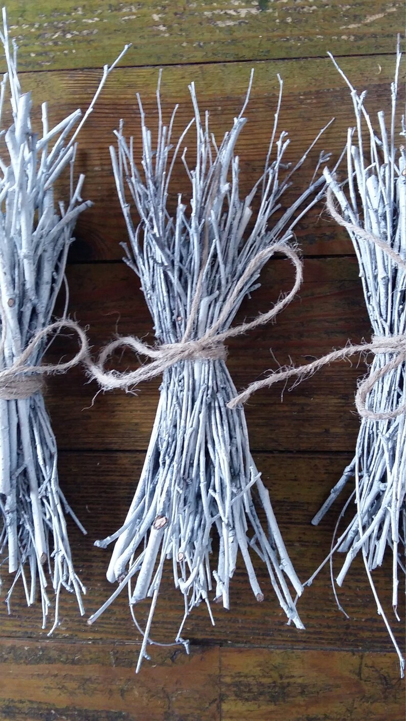 Birch Branches Hand Painted White Natural Twigs Minimalist Etsy