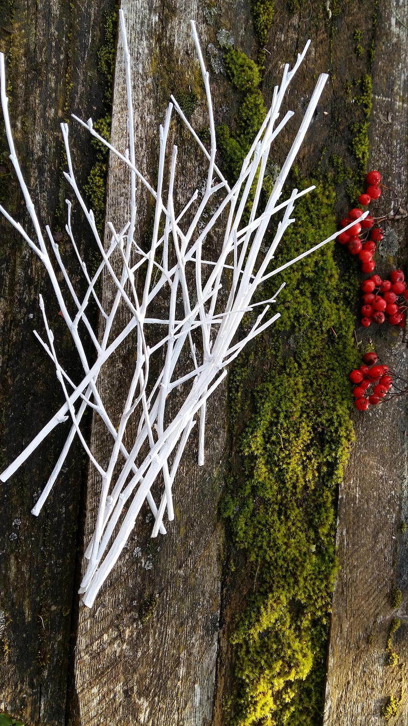 White Twigs Birch Branches Hand Painted Natural Twigs Vase Etsy