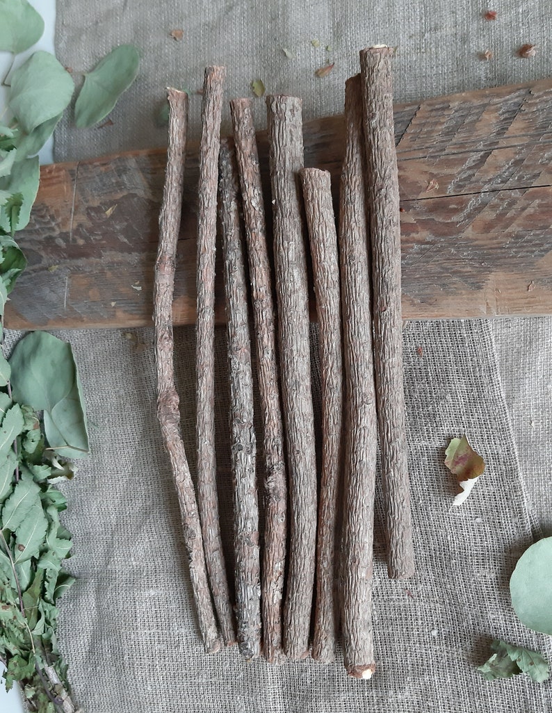 Pine Sticks Bundle Pine Tree Wood Sticks Wooden Twigs Natural Etsy