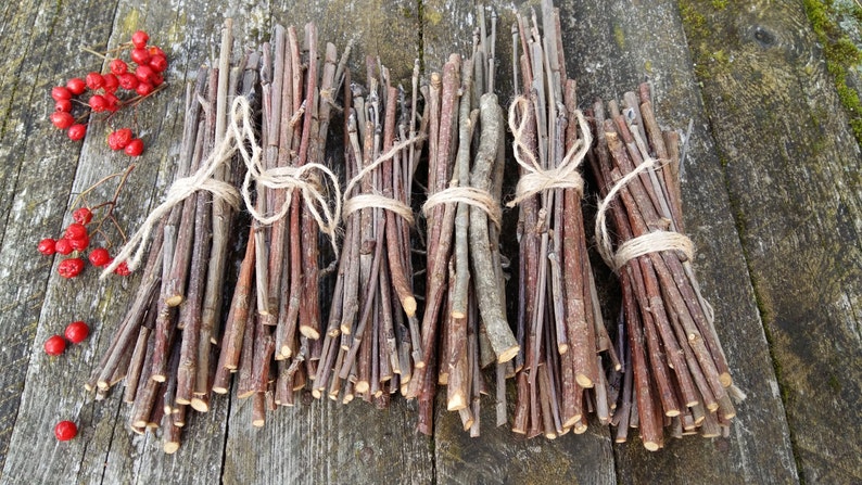 rowan wood sticks mountain ash tree wands branch bundle clearing energy protecting rustic wood forest natural tree decor simple woodland image 4