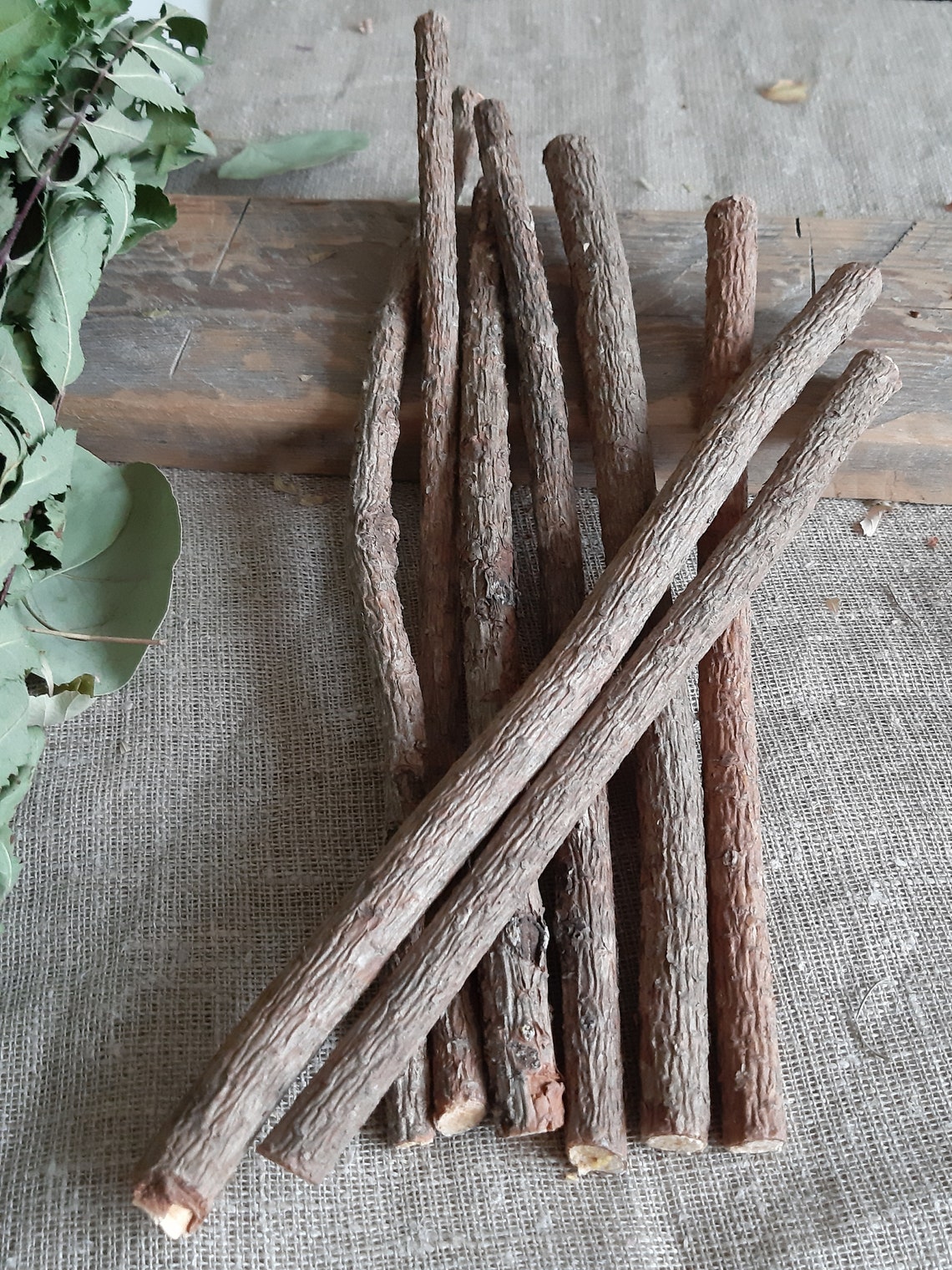 Pine Sticks Bundle Pine Tree Wood Sticks Wooden Twigs Natural Etsy UK