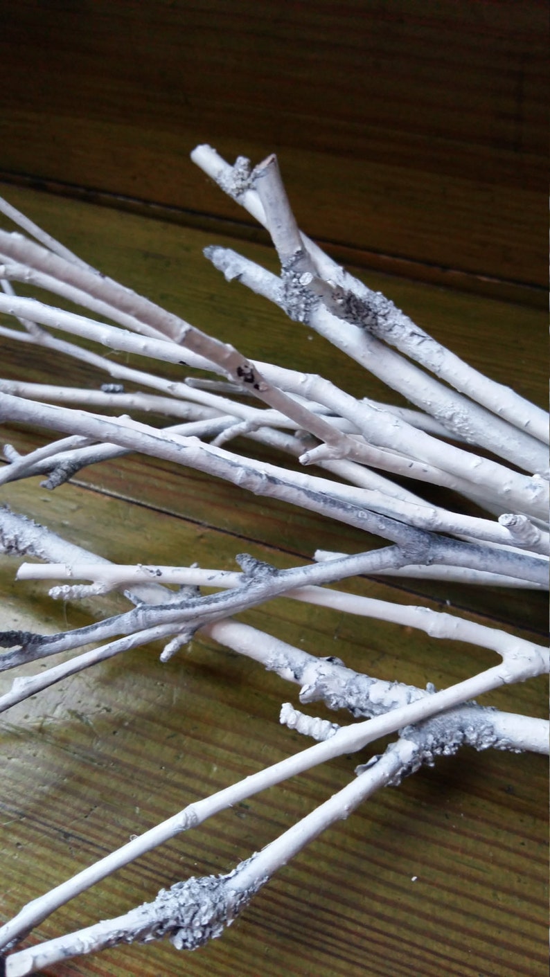 White Twigs Birch Branches Hand Painted Natural Twigs Vase Etsy