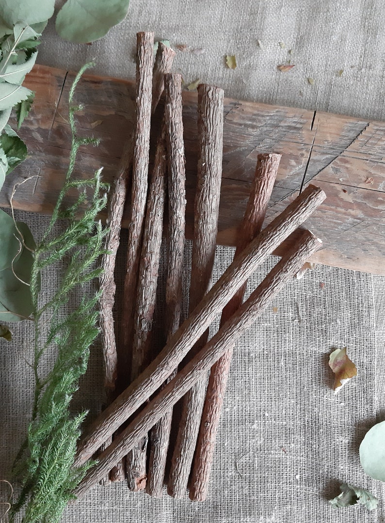 Pine Sticks Bundle Pine Tree Wood Sticks Wooden Twigs Natural Etsy