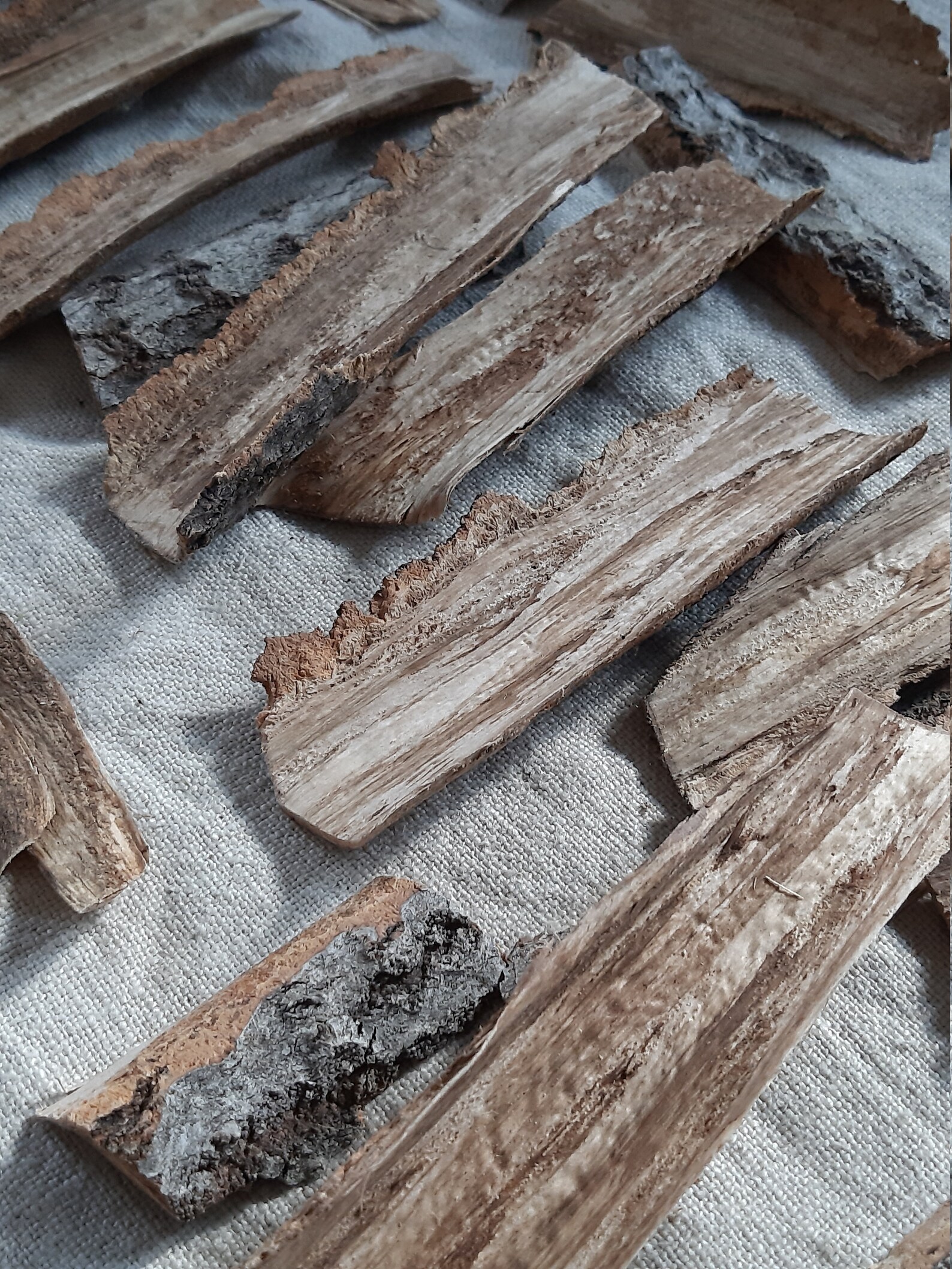 Natural bark wood bark pieces decorative real bark slices Etsy