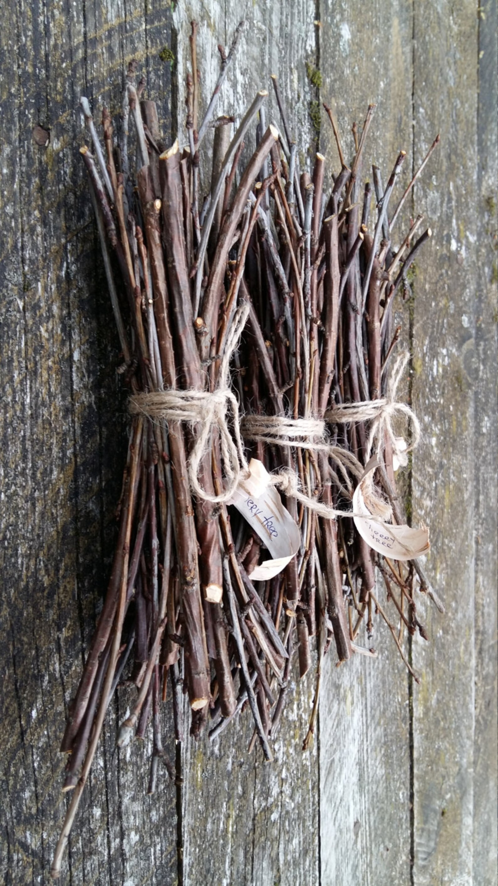 Natural Tree Branches Stick of Wood Twigs Wood Branches Wild Etsy