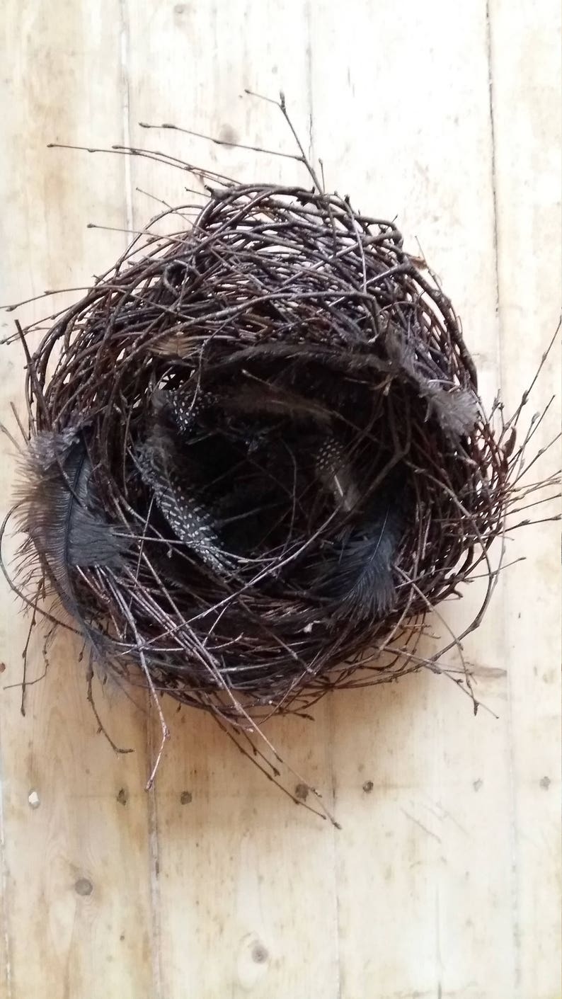 Birds Nest Natural Decor Birch Branches Twigs Rustic Home Etsy