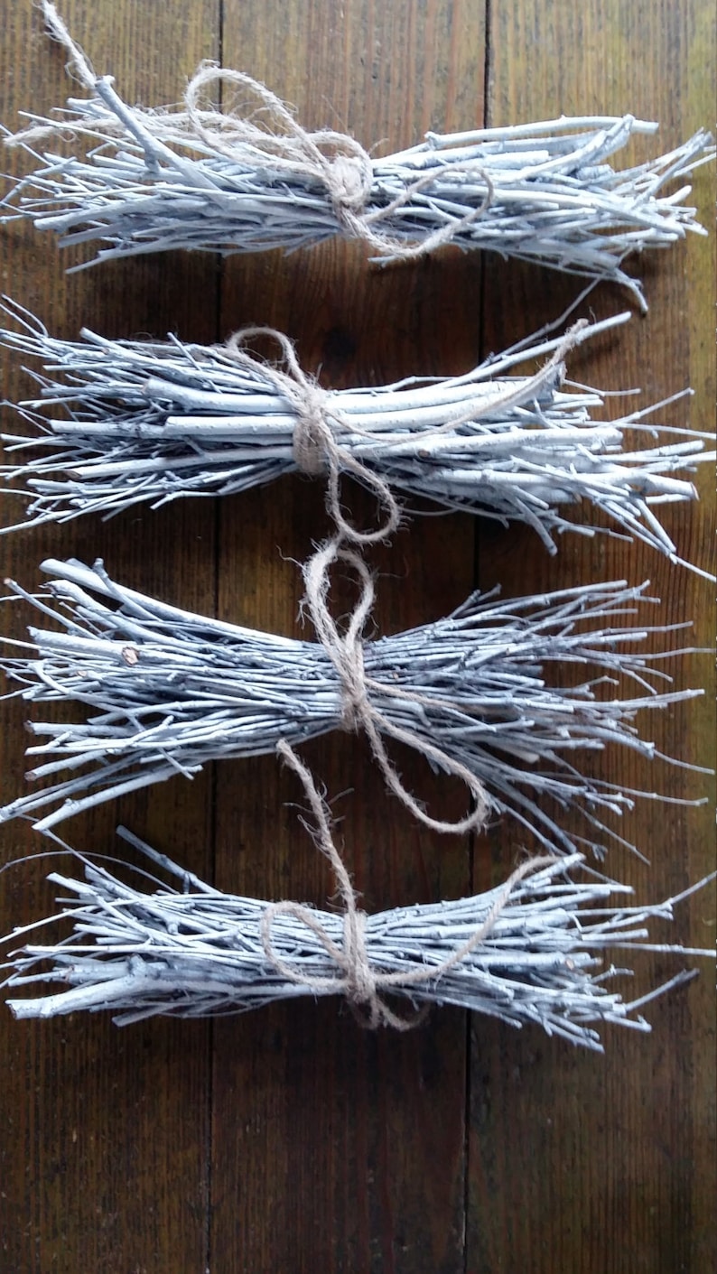 Birch Branches Hand Painted White Natural Twigs Minimalist Etsy