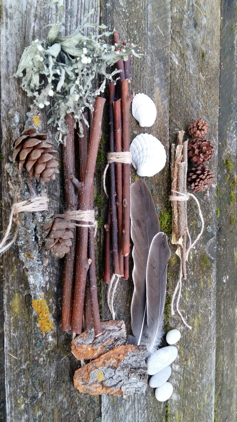 Ensemble de collection de curiosités naturelles étagère à bibelots kit de démarrage cabinet de curiosité naturel bizarrerie science biologie spécimen bois de lichen plage image 2