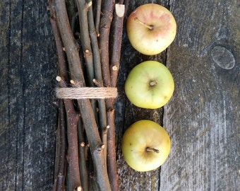Crabapple wood sticks wild apple tree branches wooden twigs bundle natural rustic home decor craft supplies primitive woodland witch love