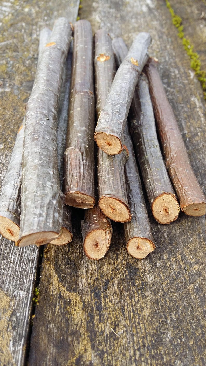 Ogham Set Liefert Holz äste Zweige Klebt Natürliche Erle Baum Etsy