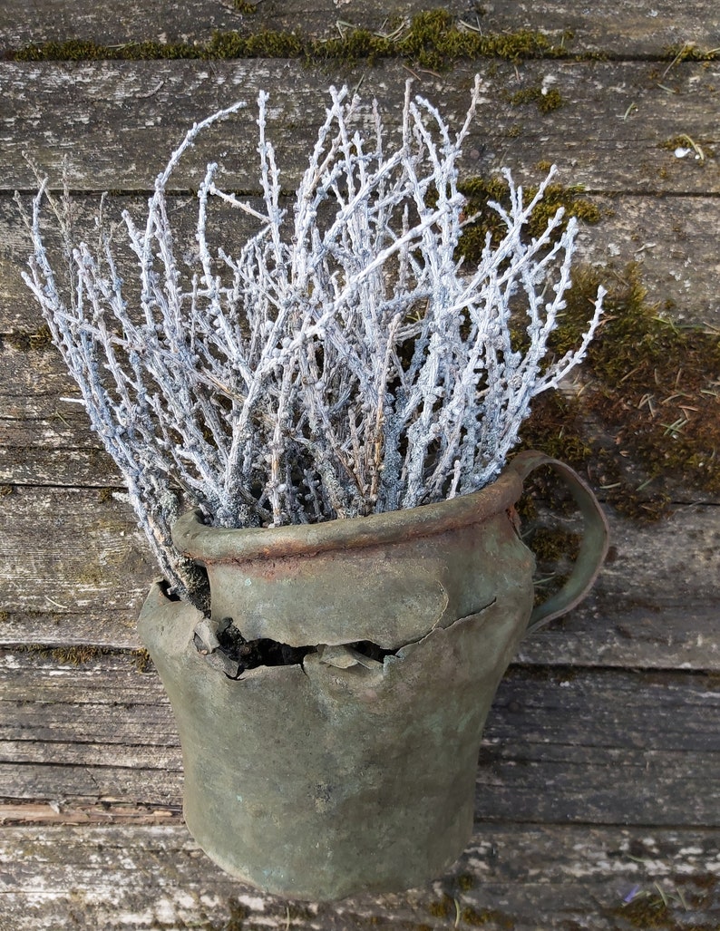 White twigs natural larch branches hand painted twigs vase Etsy