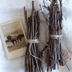 Hazel wood twig bundle hazelnut sacred wood art craft supply magical wand tool wicca druid pagan celtic ritual wood incense smudge primitive image 8