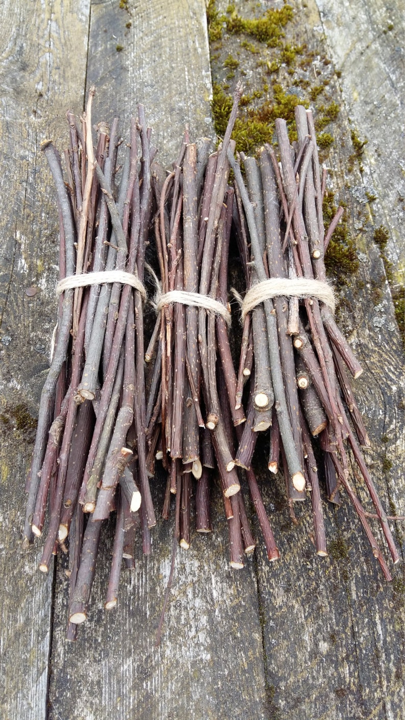 Hackberry Twigs Rustic Home Decor Wooden Twigs Branch Bundle Etsy