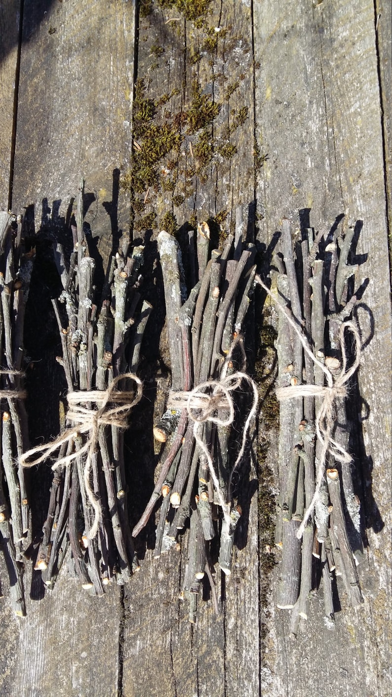 Peru wooden sticks. Tree sticks. Древесные палки картинки. Wooden stick в гренни. Палочки из березы.