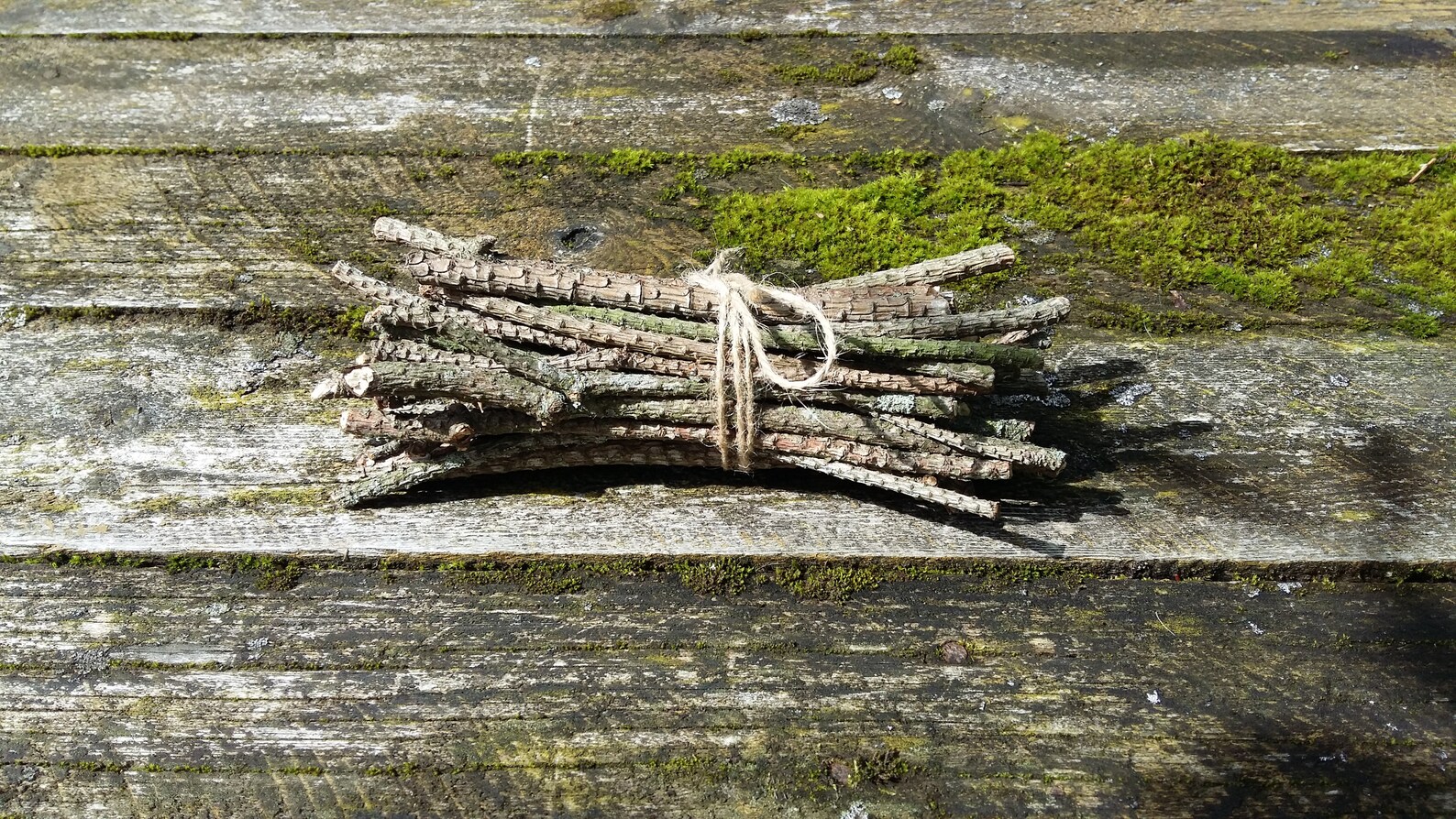 Natural pine tree sticks wooden twigs wood branches dried Etsy