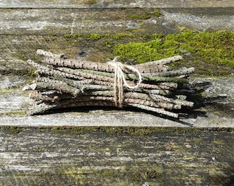 natural pine tree sticks wooden twigs wood branches dried bunch bundle rustic home decor lodge cottage country simple primitive supplies