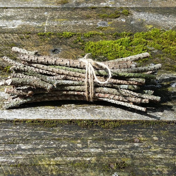 natural pine tree sticks wooden twigs wood branches dried bunch bundle rustic home decor lodge cottage country simple primitive supplies