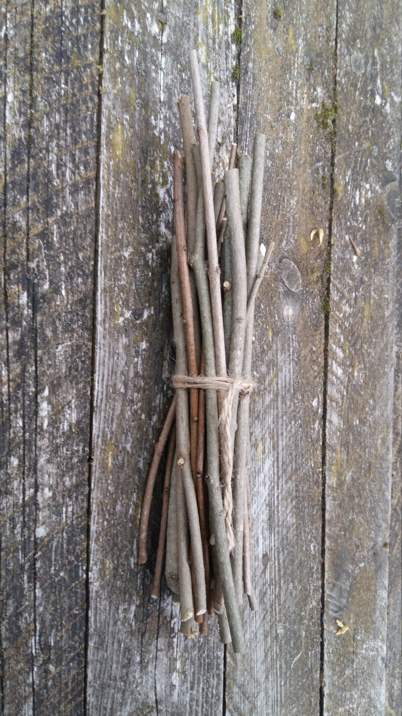 Lilac Tree Wood Twigs Sticks Natural Wooden Branches Rustic Etsy