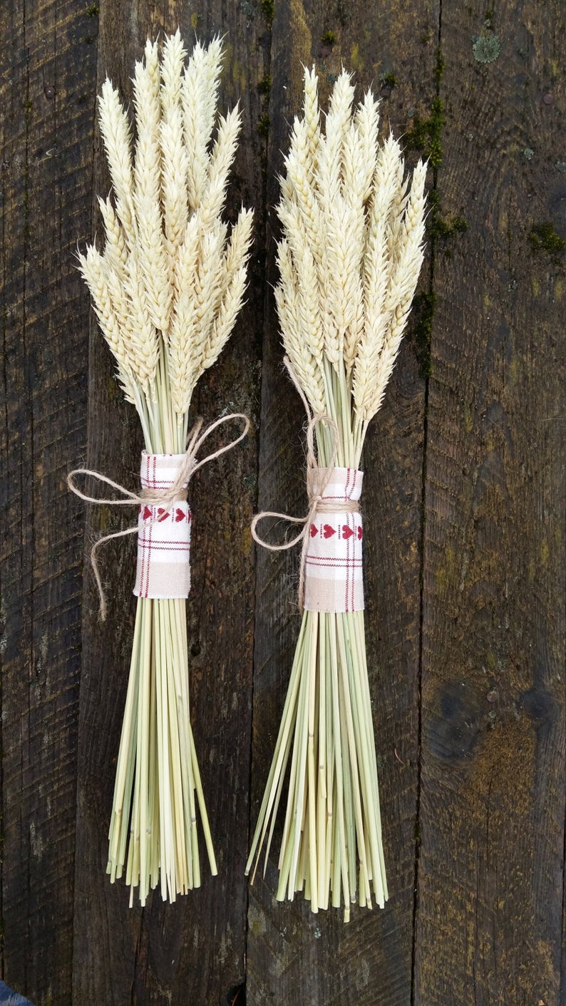 wheat bouquet rustic farm barn wedding bride bridesmaids maid of honor bouquet home decor dried ears of wheat grain ear natural decor eco image 1