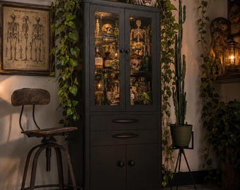 Metal vintage medical cabinet by Hamilton black and taupe