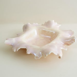 Handskulpterad smyckesfat i rosa porslin: Ocean Wave Design