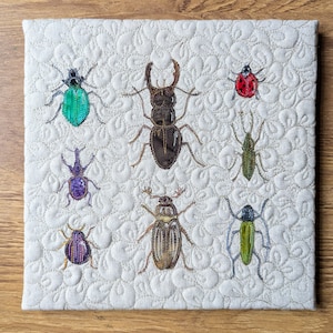 Kit de tissu et motif imprimé pour spécimens d'insectes coléoptères tutoriel d'appliques à bords bruts de 30 cm (12 po.) broderie en piqué libre