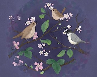 Pre -order bluebell woods nightingale coaltit wren printed panel 30.5 by 30.5 cms